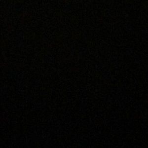 Meet your Posher, Gianna